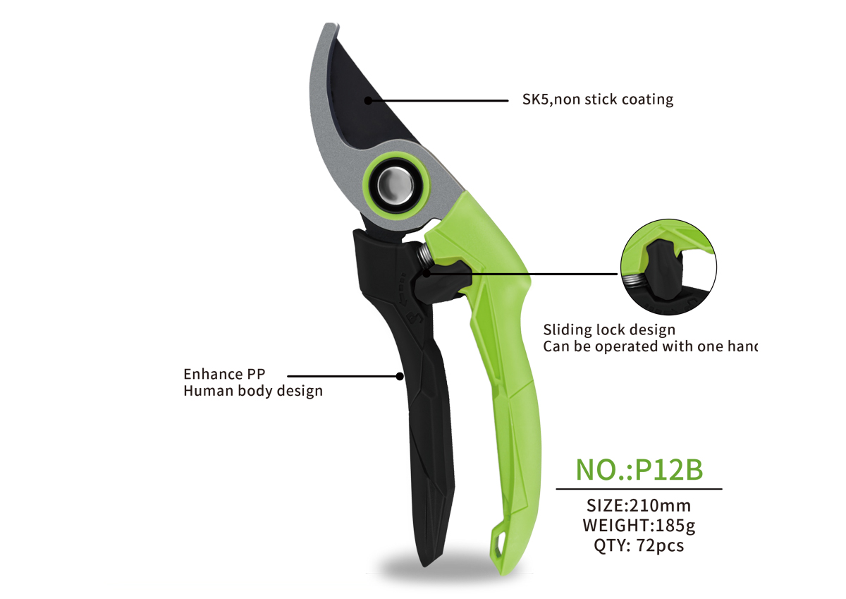 P12B-.jpg